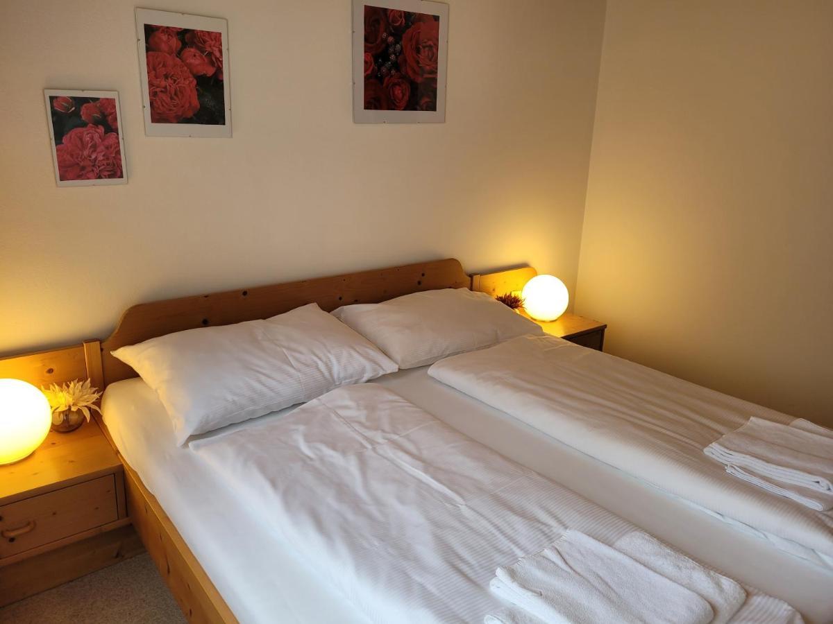 Profelt'S Apartments Uttendorf - Steinbock Lodges Екстер'єр фото
